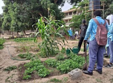 485123160_632657192849466_1726355644389540133_n