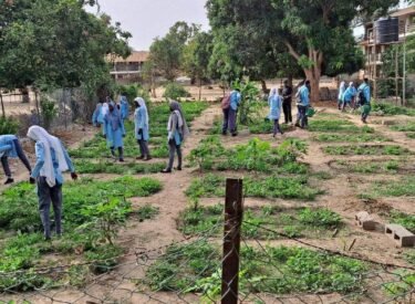 485365758_632657636182755_3409071790695902412_n