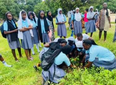 485764796_633540216094497_518298098427905924_n