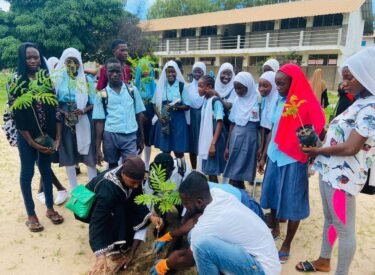 485992267_633540169427835_3219946017298550810_n